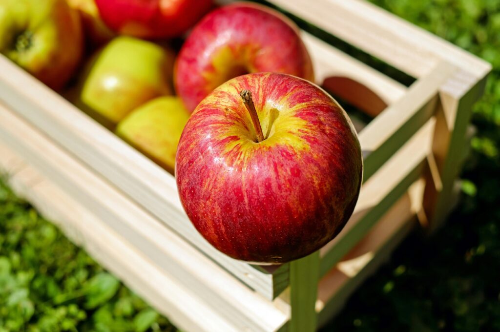 Fruits that have high fiber